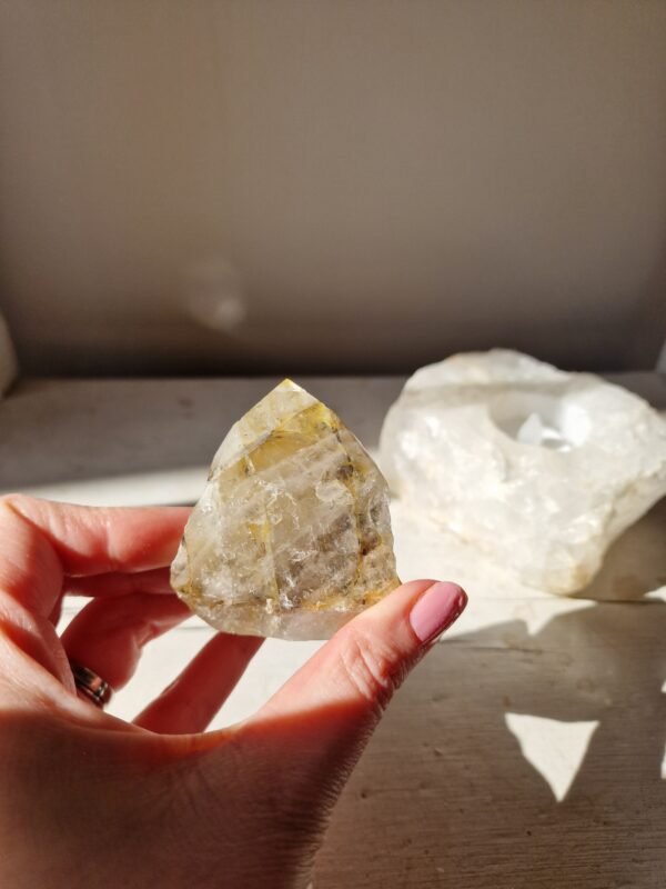 Dendritisk Golden Healer | Cut base - Bild 2