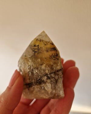Dendritisk Golden Healer | Cut base