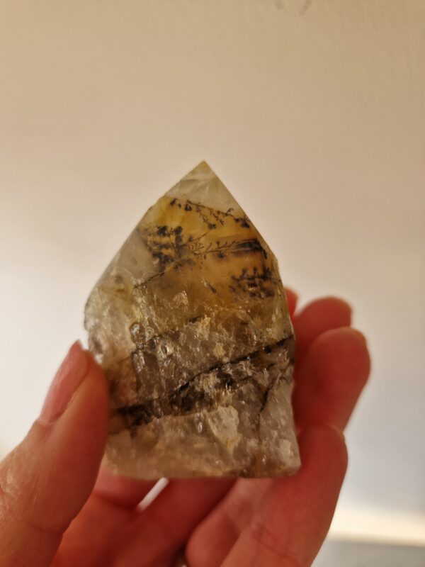 Dendritisk Golden Healer | Cut base
