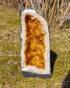 Citringrotta | ca. 9kg